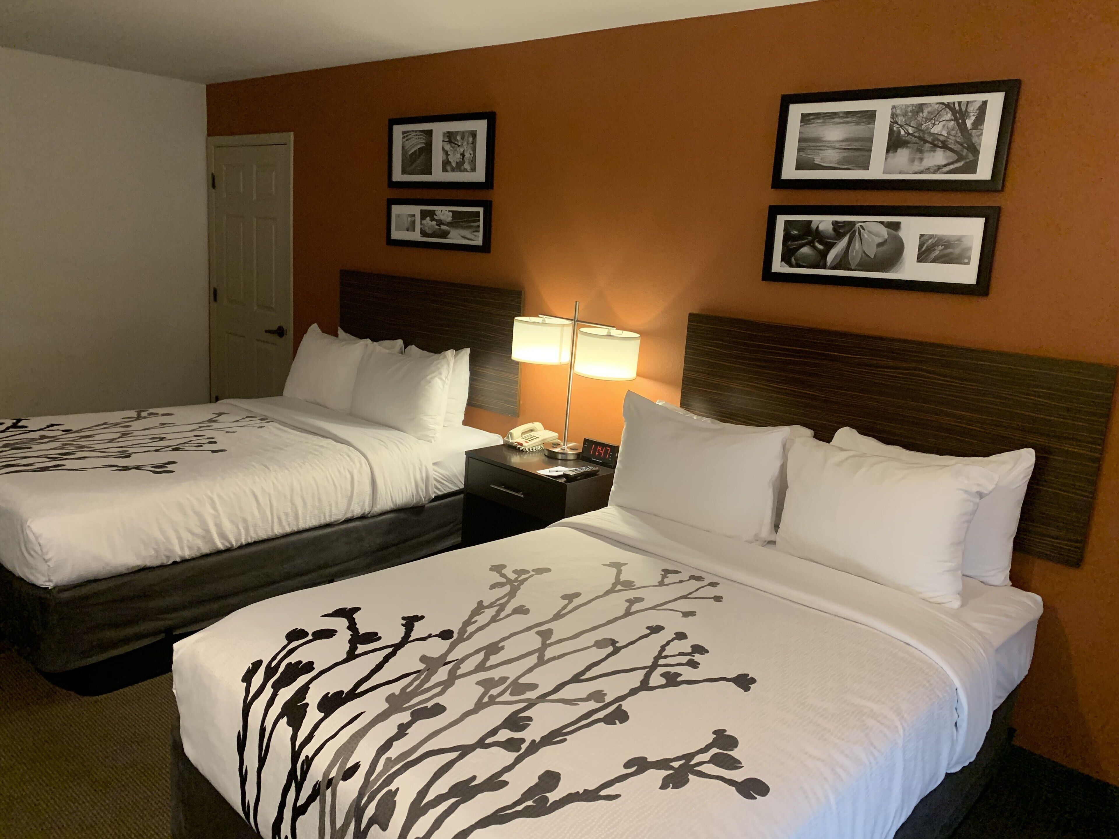 Foto - Sleep Inn Phoenix North I-17