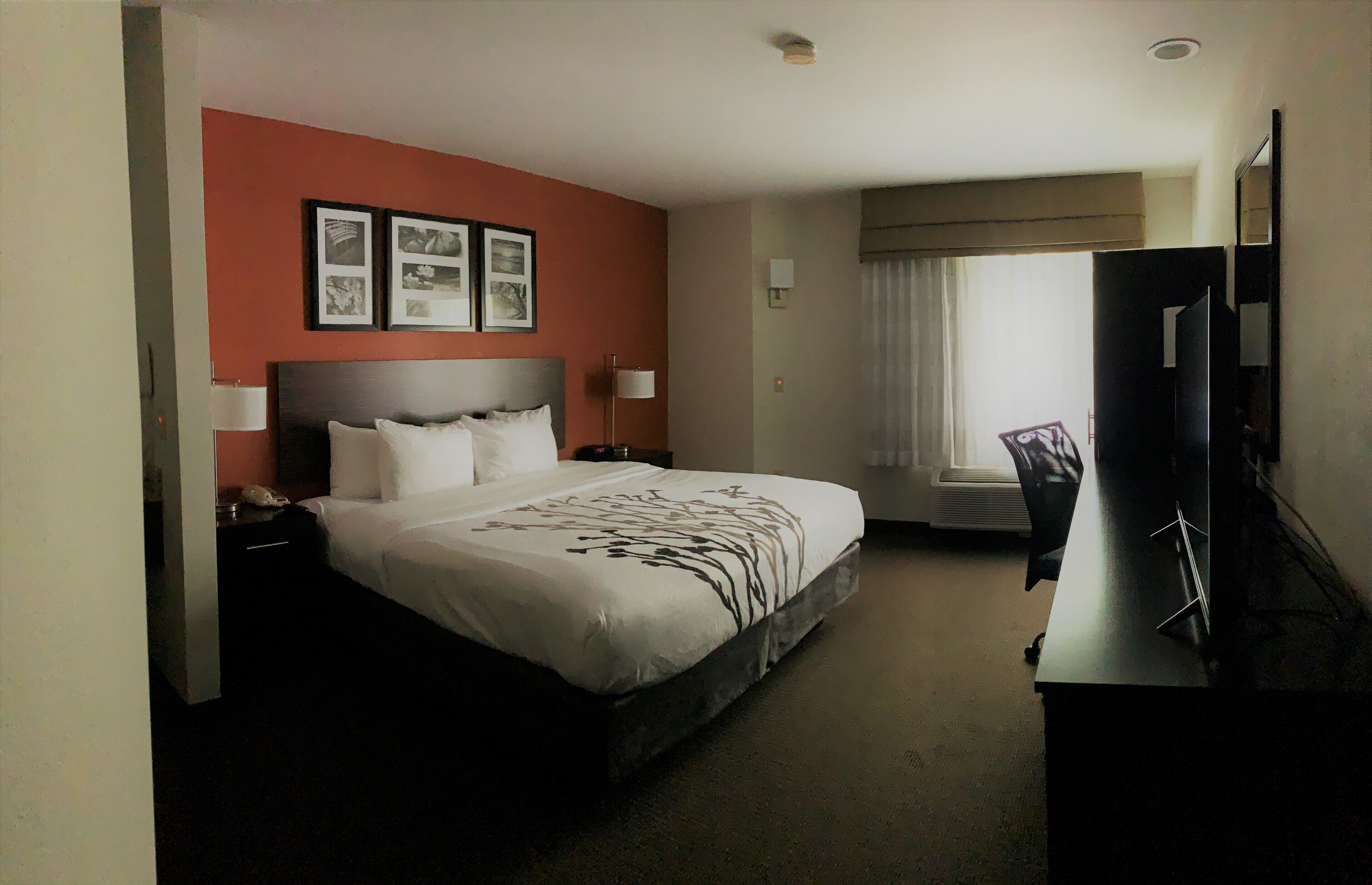 Foto - Sleep Inn Phoenix North I-17