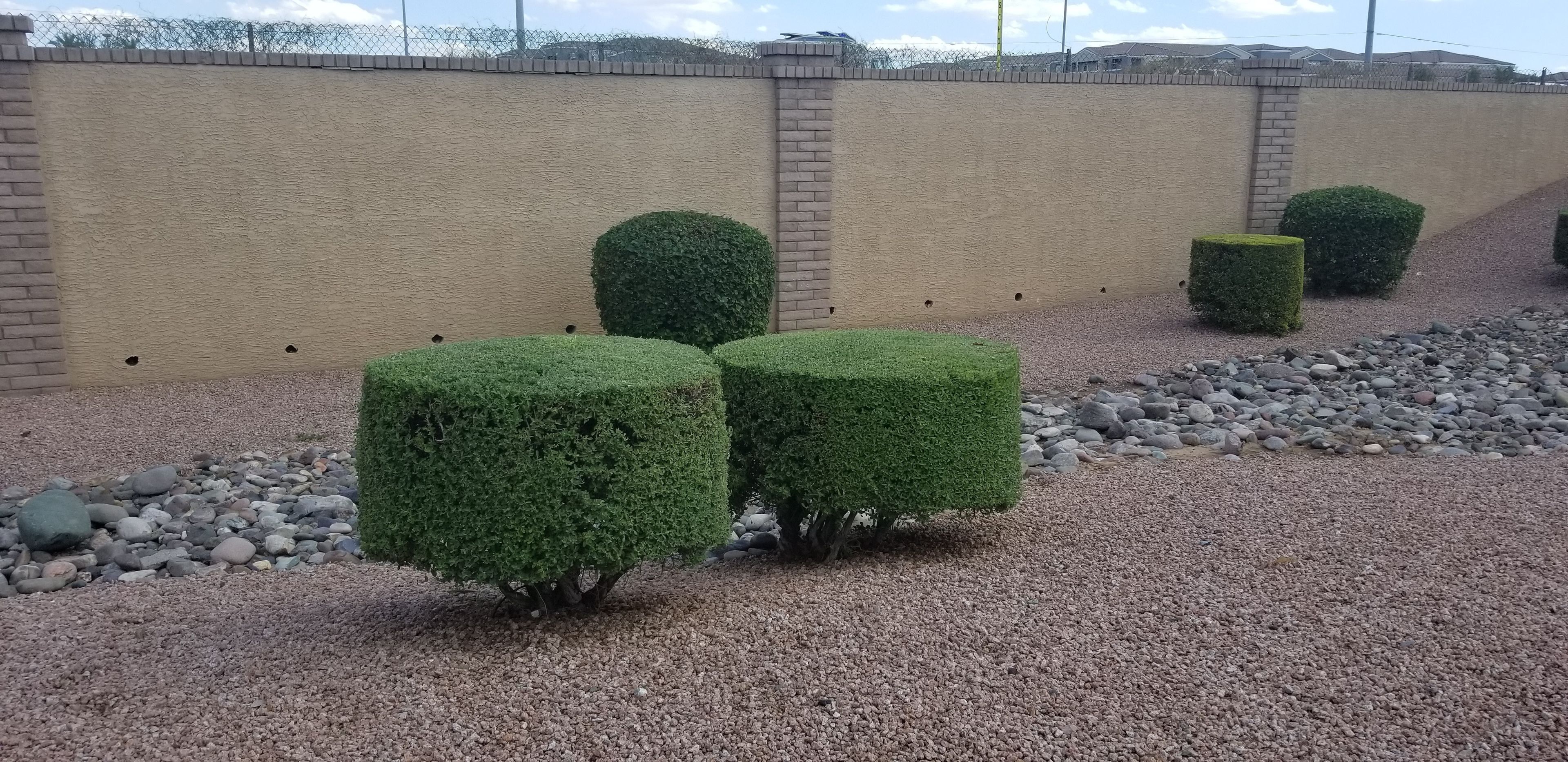 Foto - Sleep Inn Phoenix North I-17