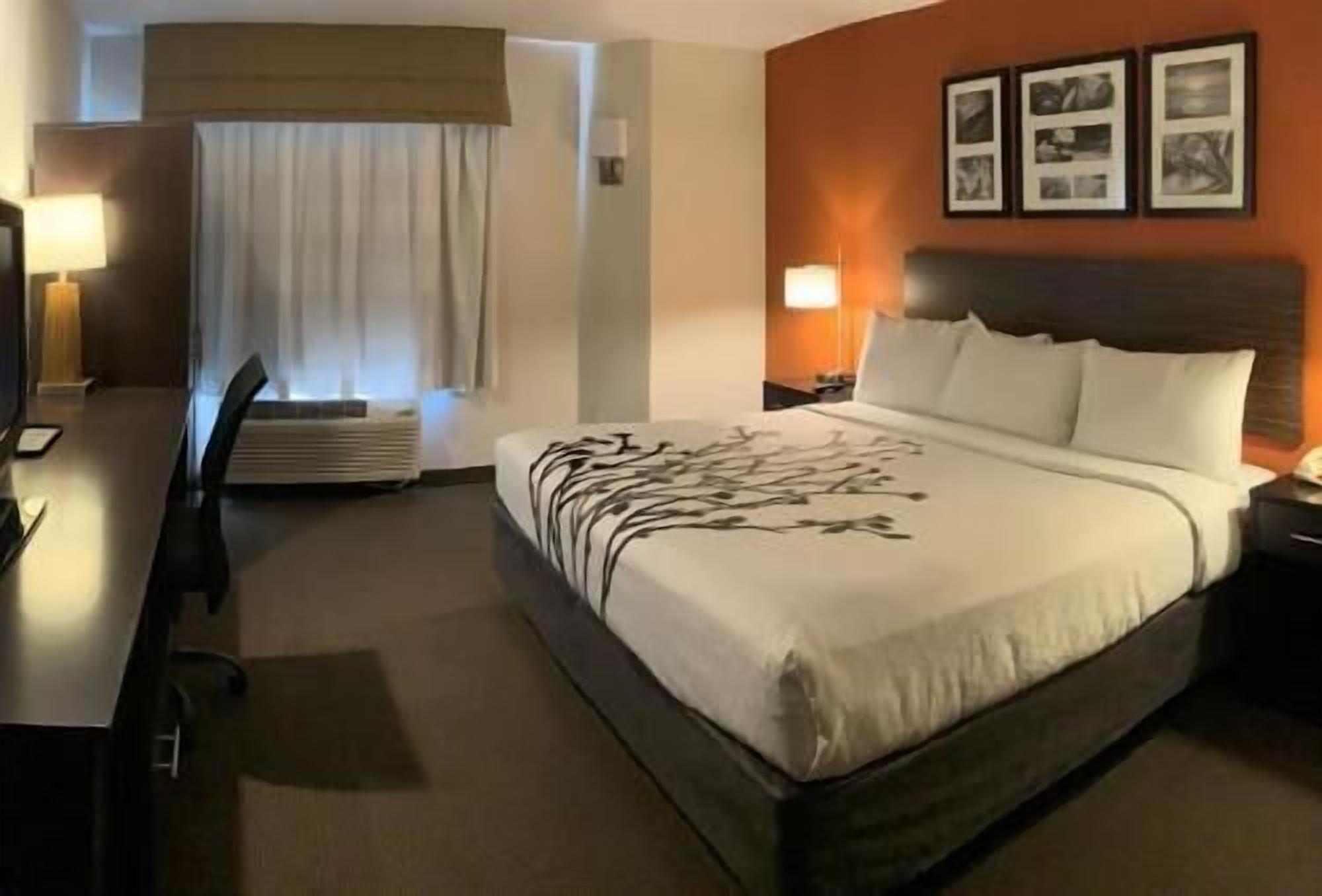 Down duvets, blackout curtains, iron/ironing board