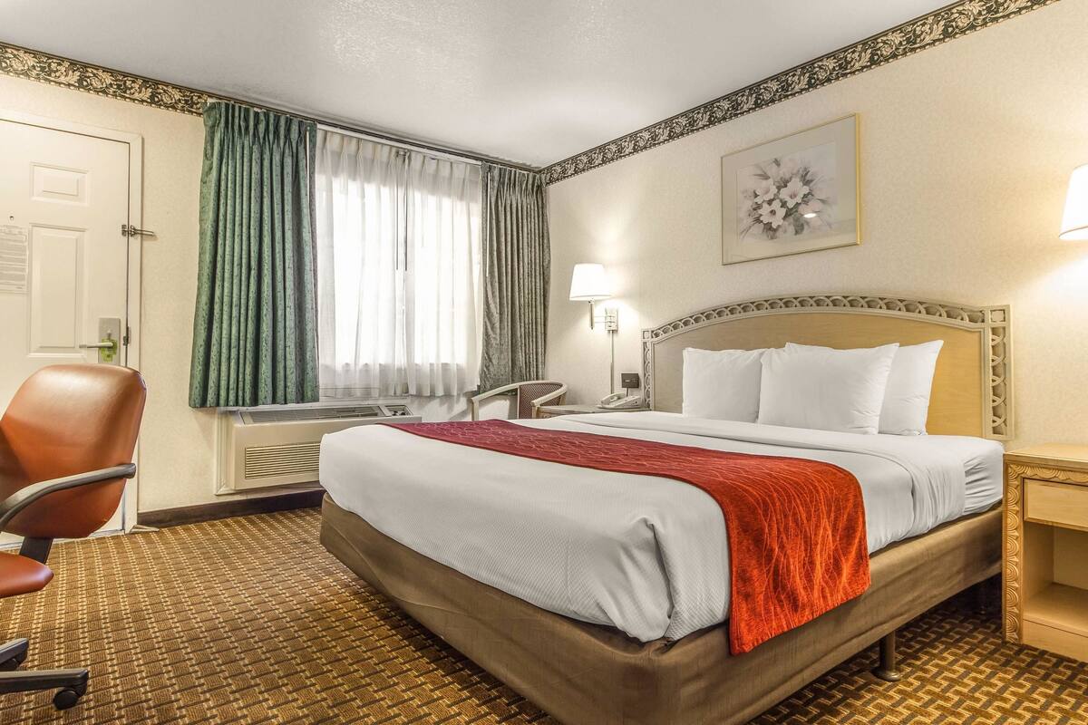 Une chambre d’hôtel avec un grand lit, une chaise, un bureau et une fenêtre avec des rideaux.