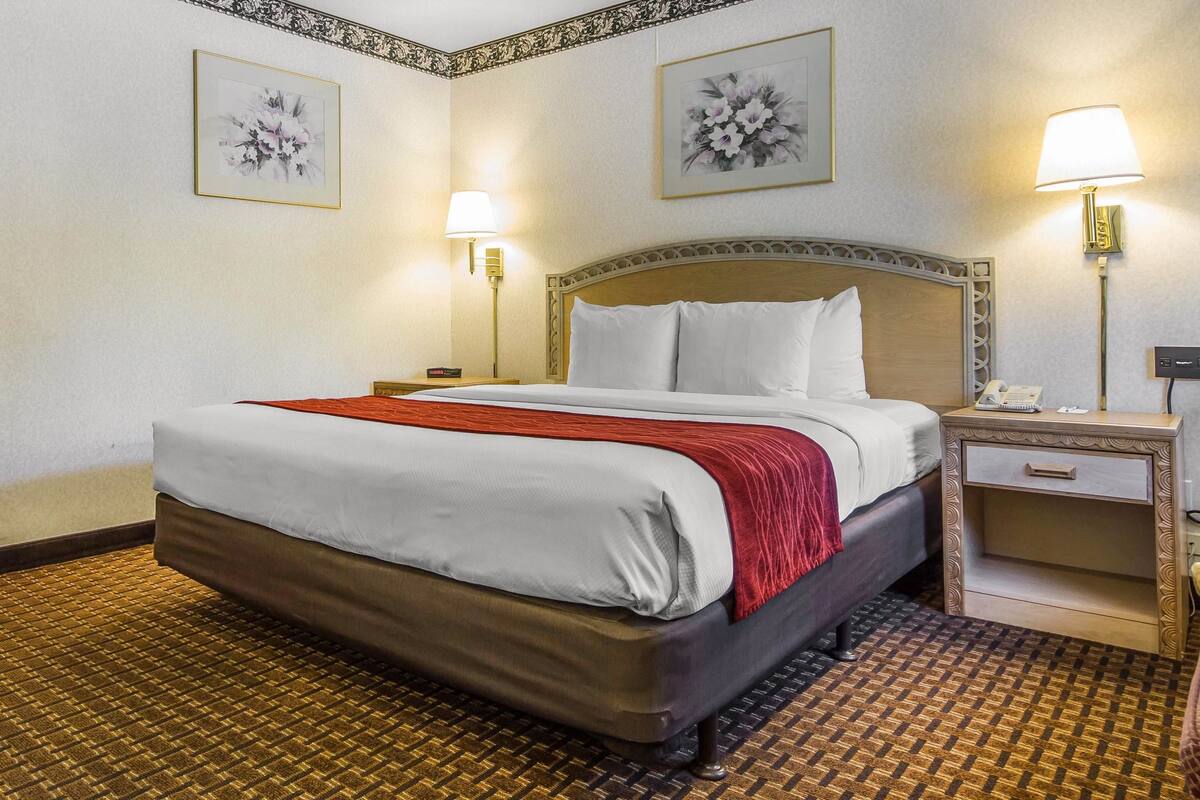 Une chambre d’hôtel avec un grand lit, deux lampes de chevet, une table de chevet avec un téléphone et deux œuvres d’art florales accrochées au mur.