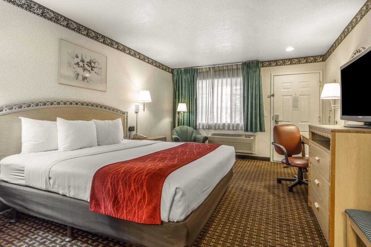Une chambre d’hôtel avec un grand lit, un bureau avec une télévision, une chaise et une fenêtre avec des rideaux.