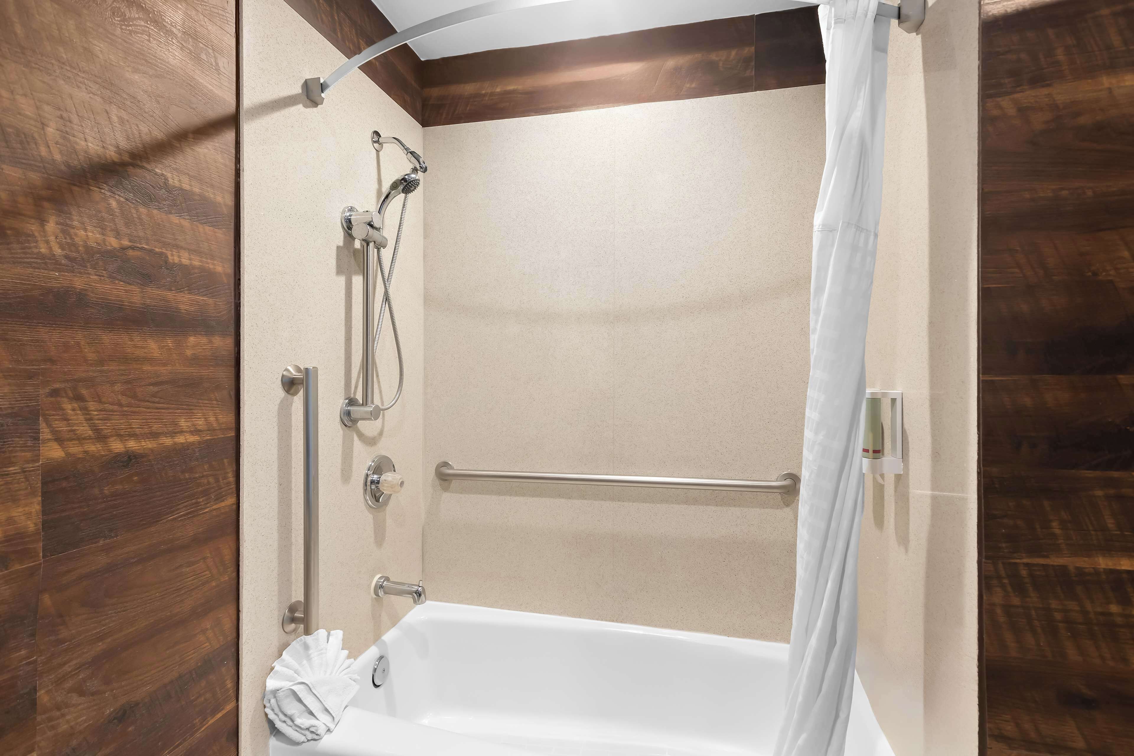 standard room, 1 queen bed, accessible, non smoking | accessible bathroom