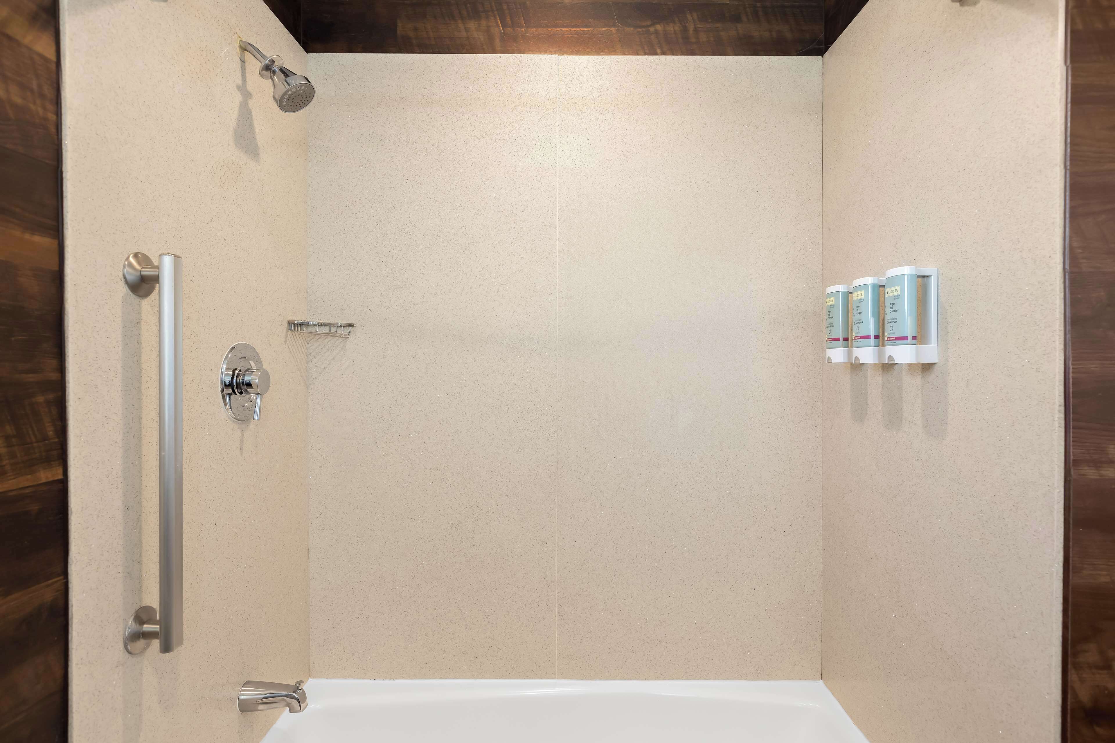 A modern bathroom with a shower, a toilet, and a bathtub.