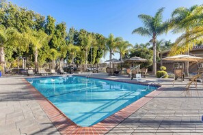 Outdoor pool, pool loungers