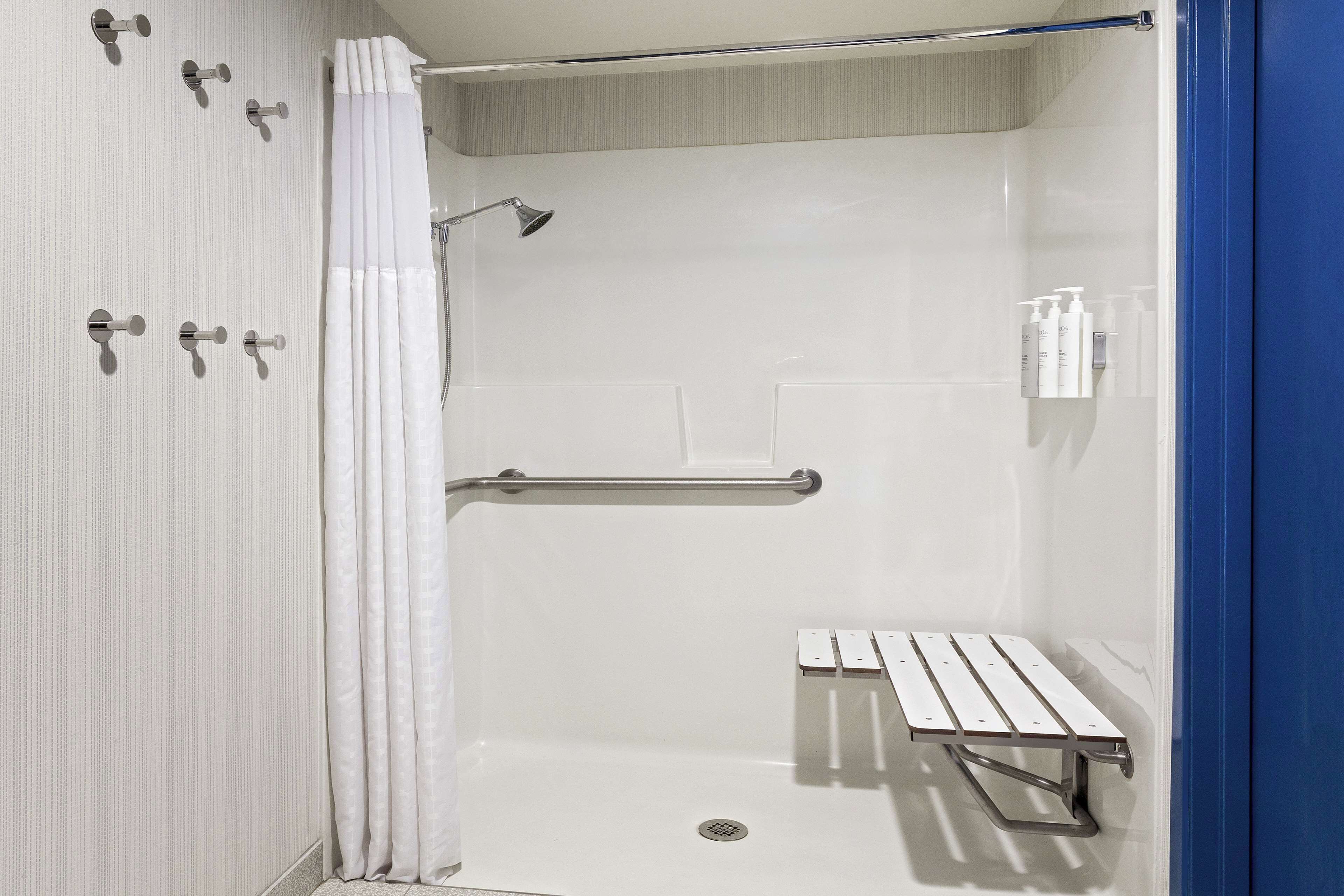 room, 1 king bed with sofa bed, accessible (roll-in shower) | bathroom shower