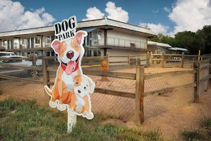 Pet-friendly amenities