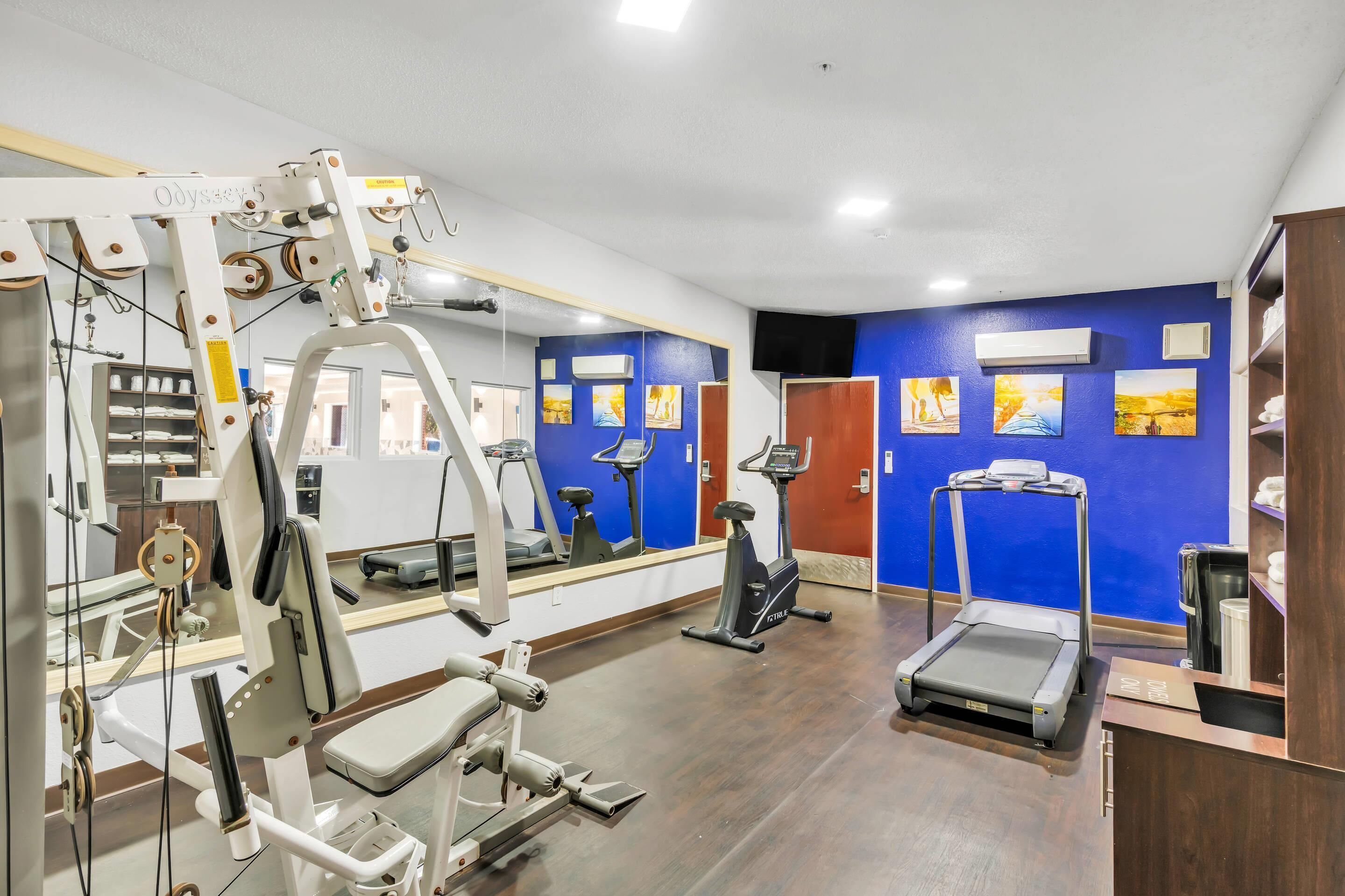 A gym with exercise equipment, a treadmill, and a mirror.