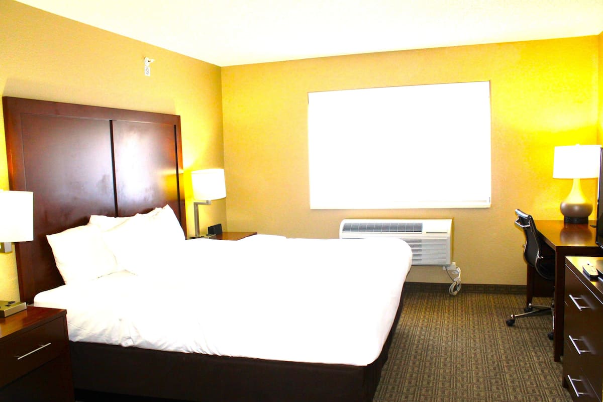 suite, 1 king bed with sofa bed, non smoking | desk, laptop workspace, blackout curtains, iron/ironing board