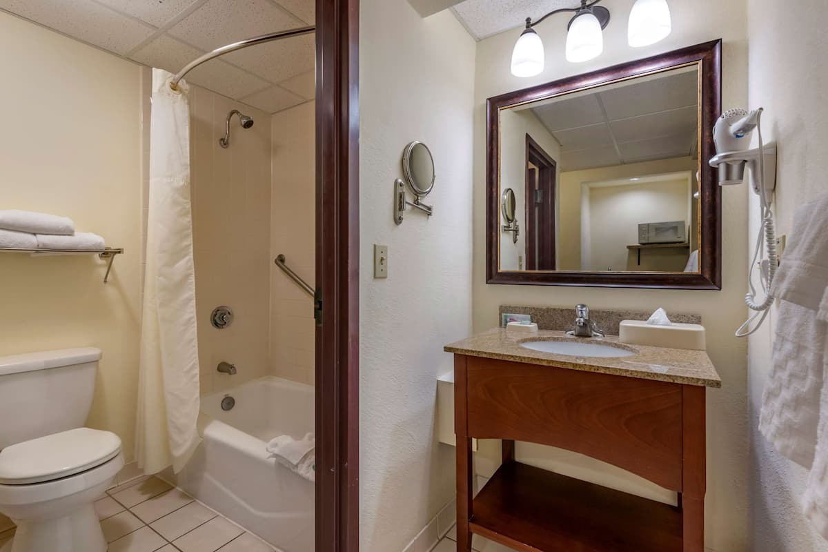 Combined shower/bathtub, eco-friendly toiletries, hair dryer, towels