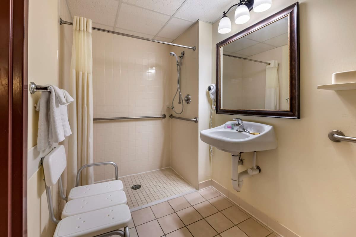 A bathroom with a shower, a toilet, a sink, and a mirror.