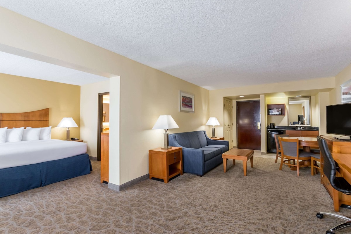A hotel room with a bed, a sofa, a desk, a chair, and a small table.