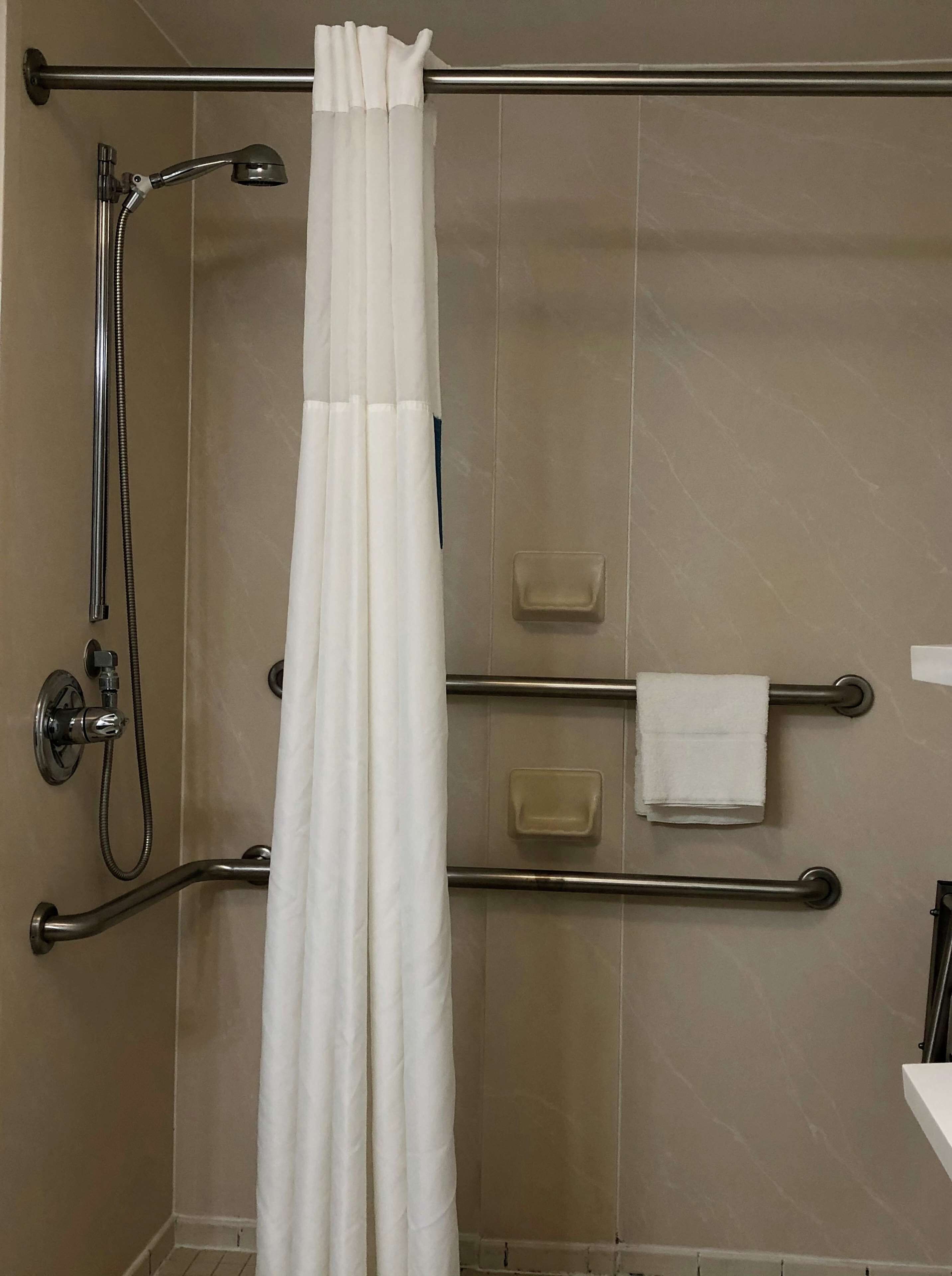 Room, 1 King Bed, Accessible, Non Smoking | Bathroom shower
