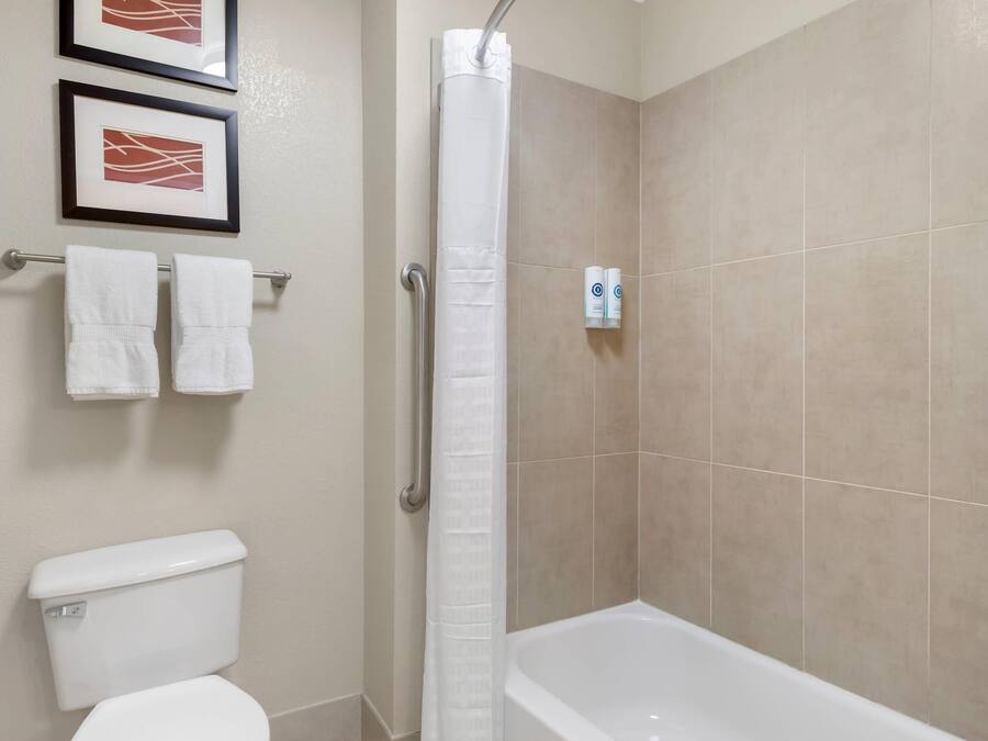 A bathroom with a shower, toilet, and two framed pictures on the wall.