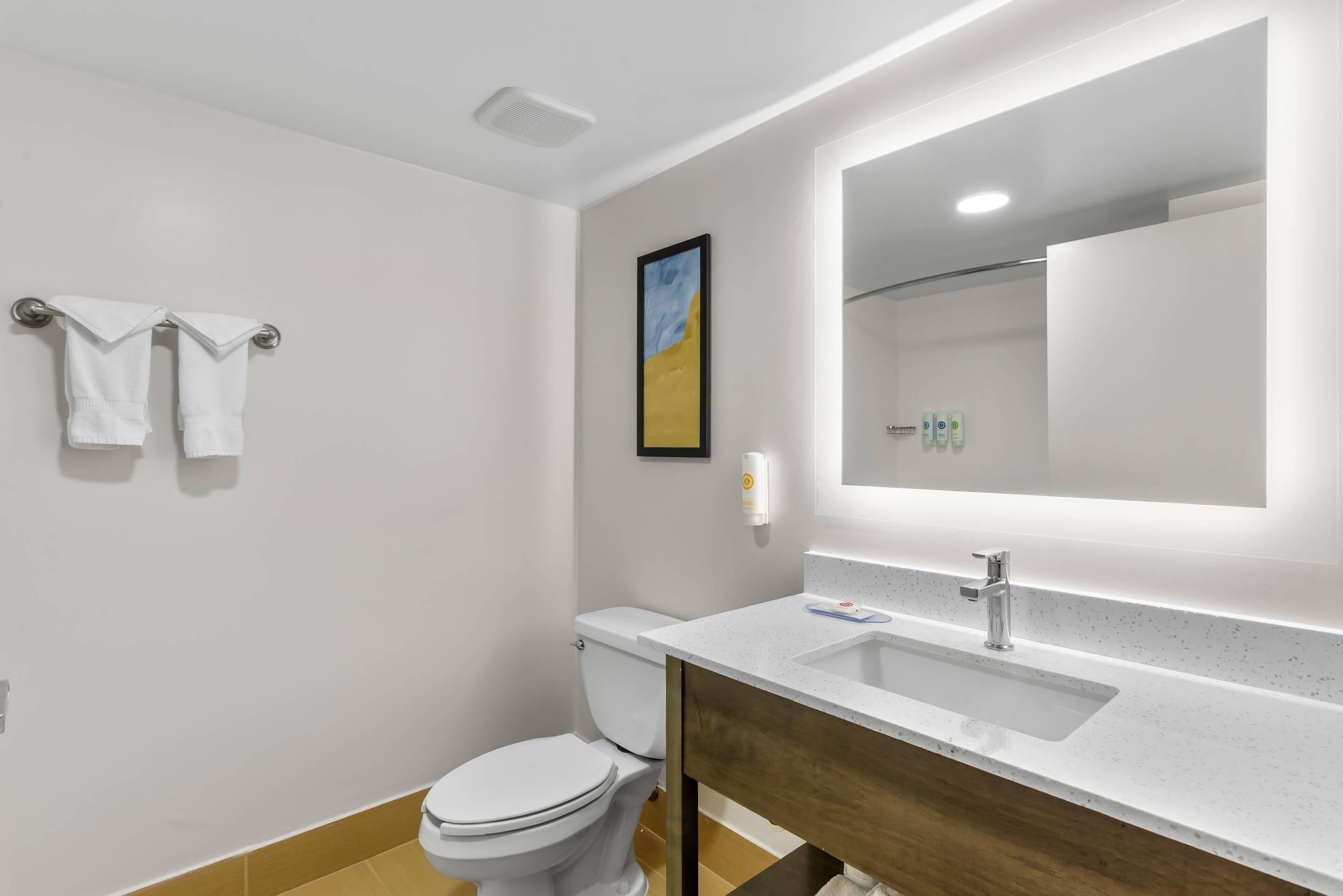 A modern bathroom with a toilet, sink, and mirror.