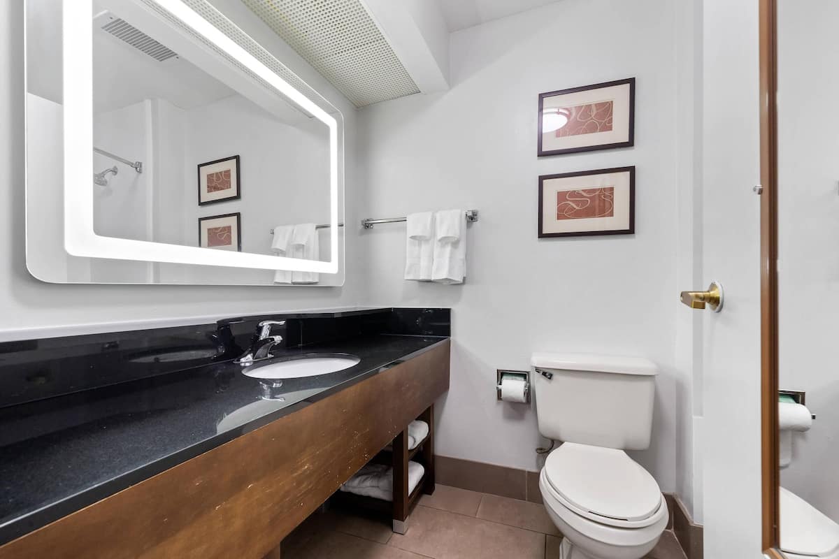 suite, 1 king bed, non smoking | desk, blackout curtains, iron/ironing board, free wifi