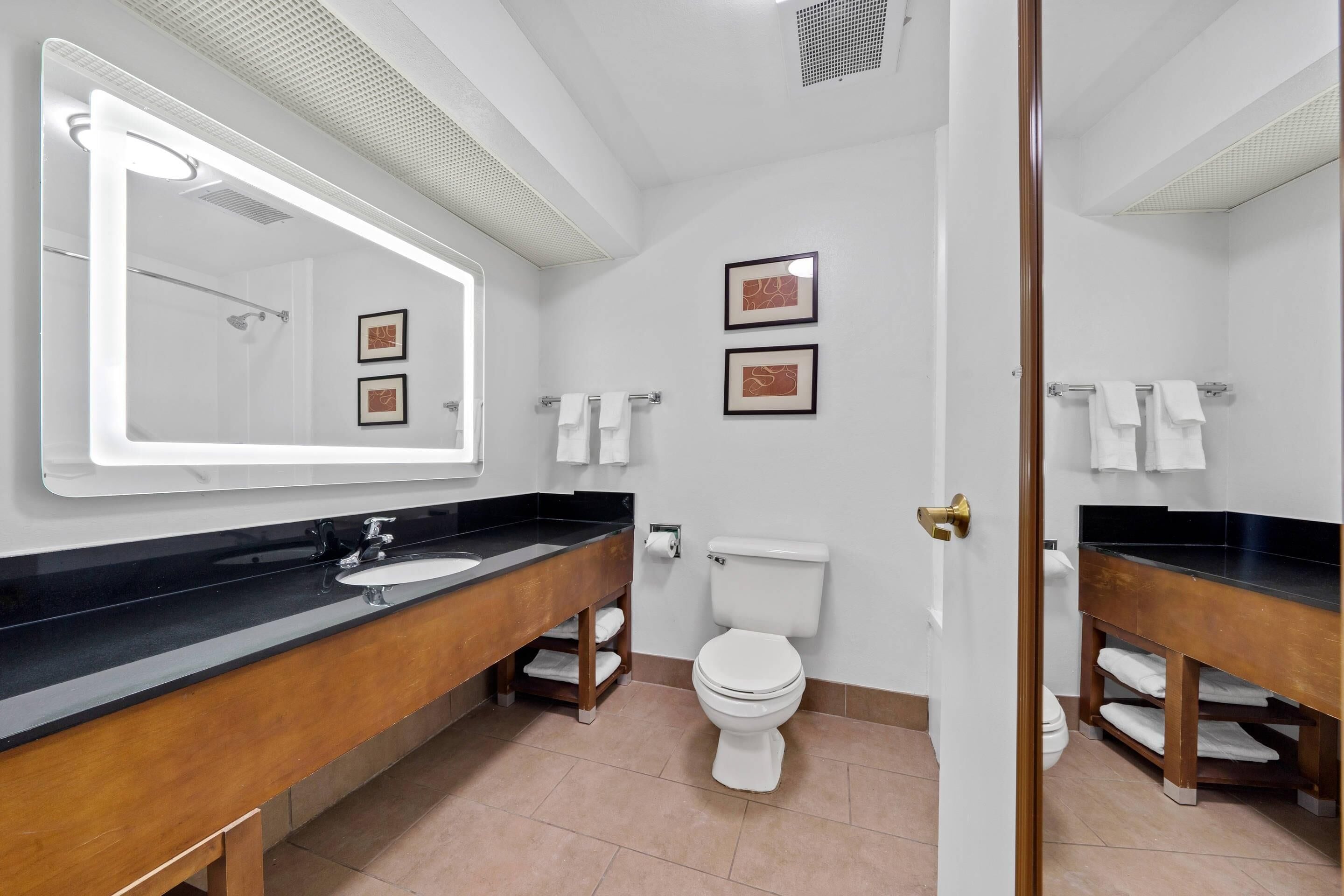 suite, 1 king bed, accessible, non smoking | desk, blackout curtains, iron/ironing board, free wifi