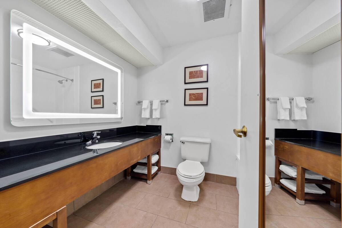 suite, 1 king bed, accessible, non smoking | desk, blackout curtains, iron/ironing board, free wifi