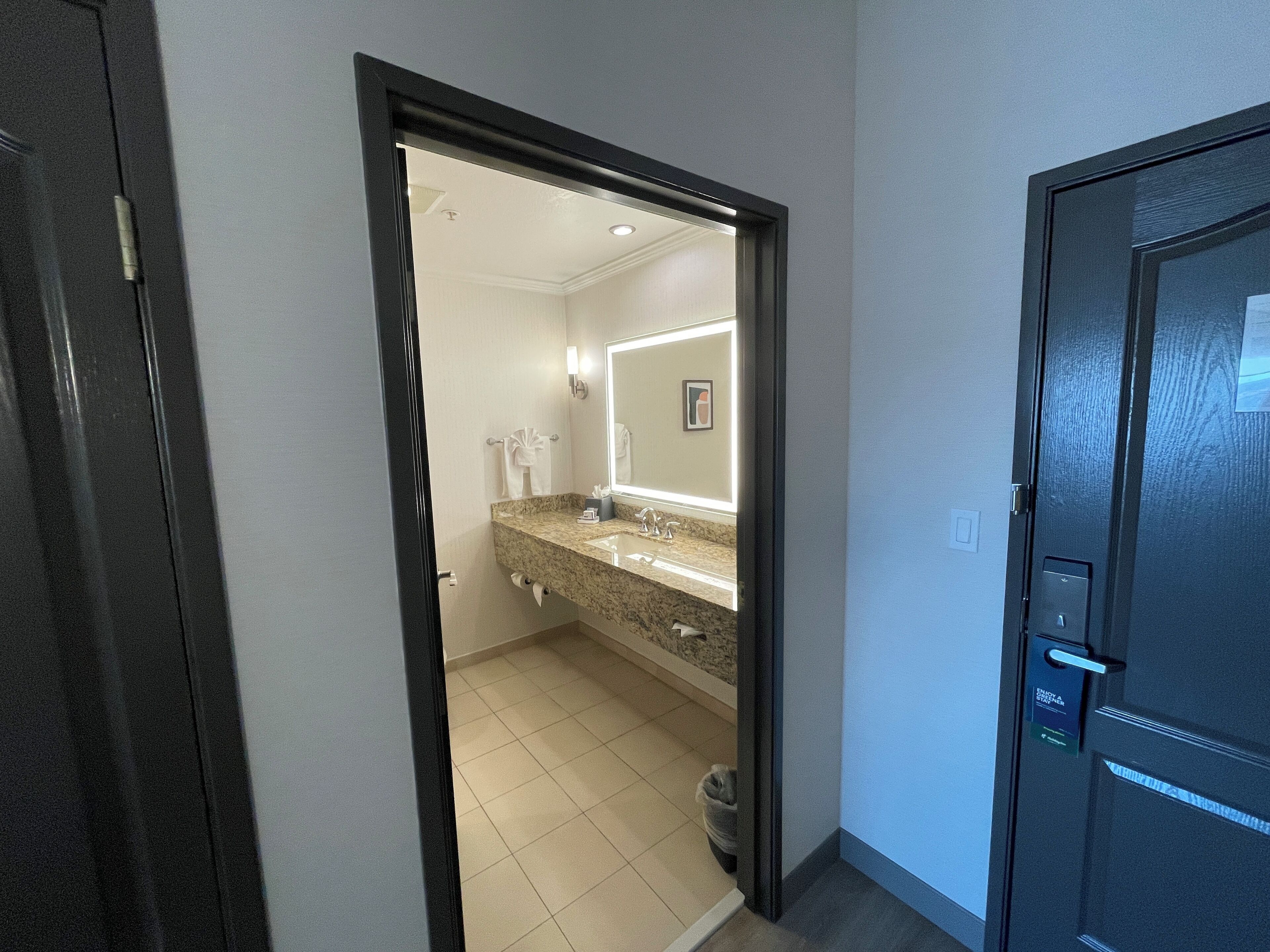 standard room, 1 king bed with sofa bed, accessible bathtub (mobility) | bathroom | combined shower/bathtub, free toiletries, hair dryer, towels