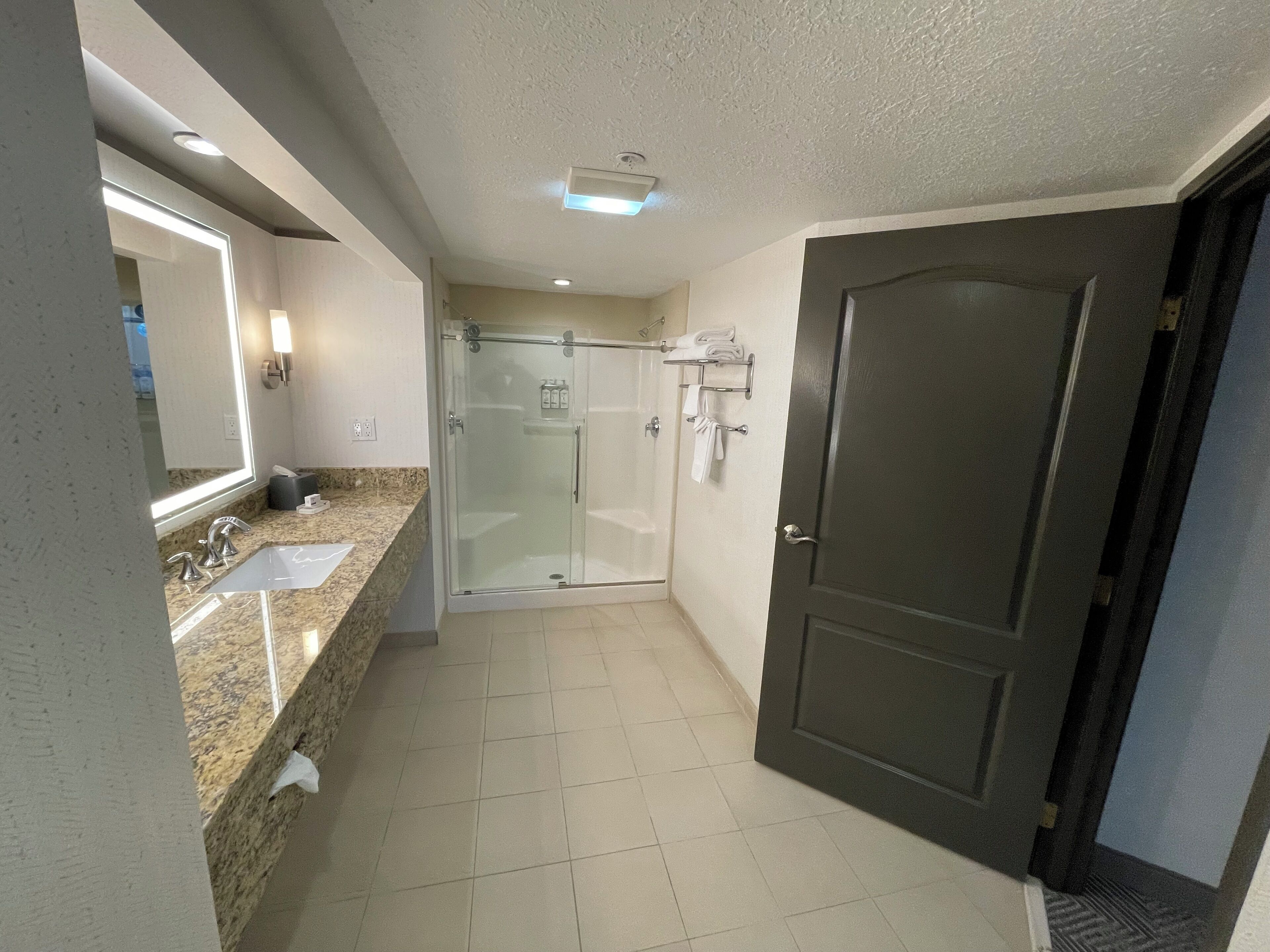 suite, 1 king bed with sofa bed (walk-in shower) | bathroom | combined shower/bathtub, free toiletries, hair dryer, towels