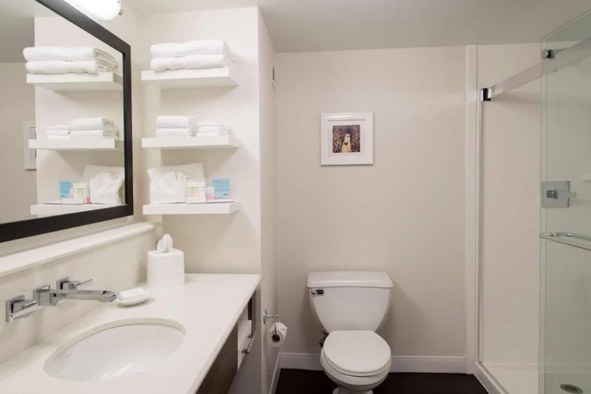 Bathroom | Combined shower/tub, hair dryer, towels