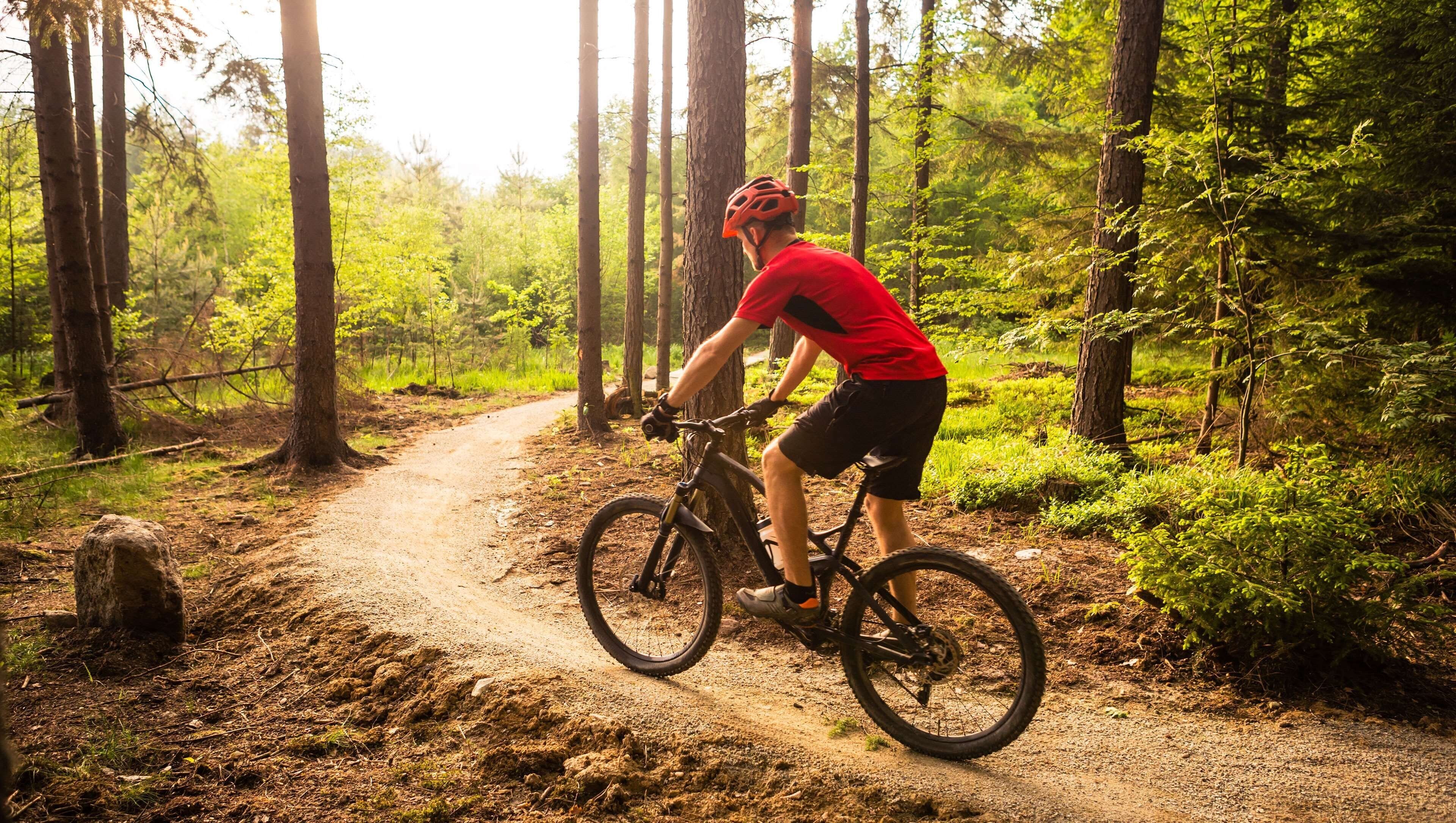 Een persoon fietst op een mountainbike over een onverhard pad in een bebost gebied.