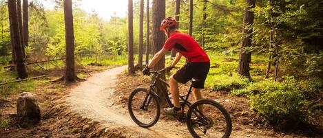 Een persoon fietst op een mountainbike over een onverhard pad in een bebost gebied.