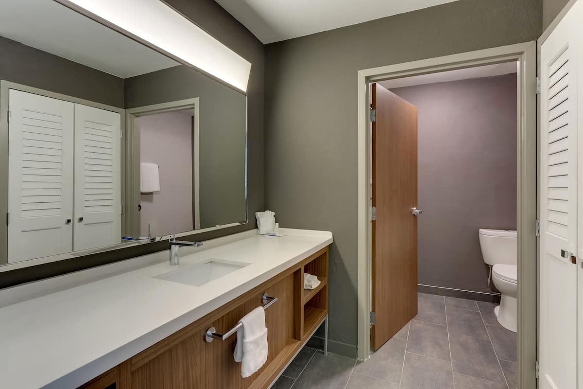 Combined shower/tub, free toiletries, hair dryer, towels