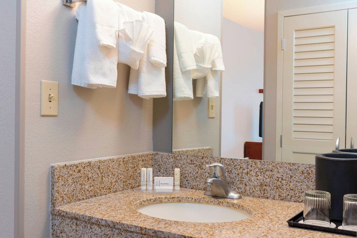 Bathroom | Combined shower/tub, free toiletries, hair dryer, towels