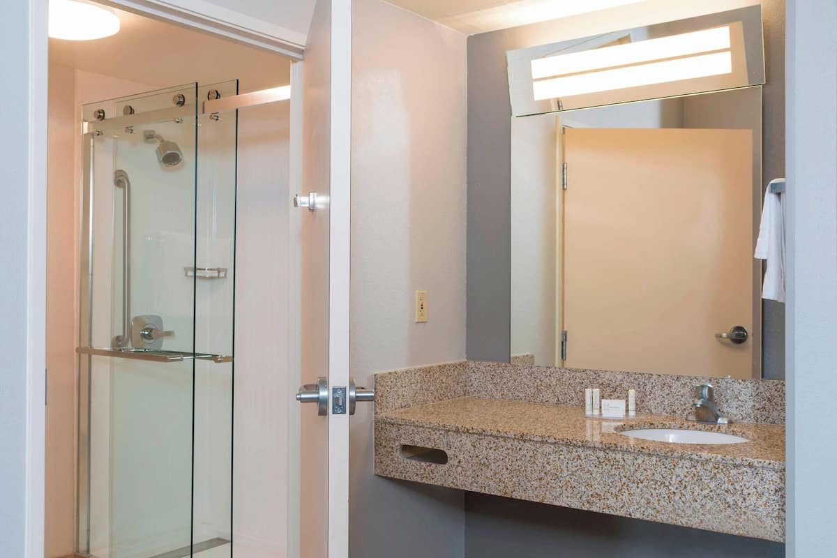 Bathroom | Combined shower/tub, free toiletries, hair dryer, towels