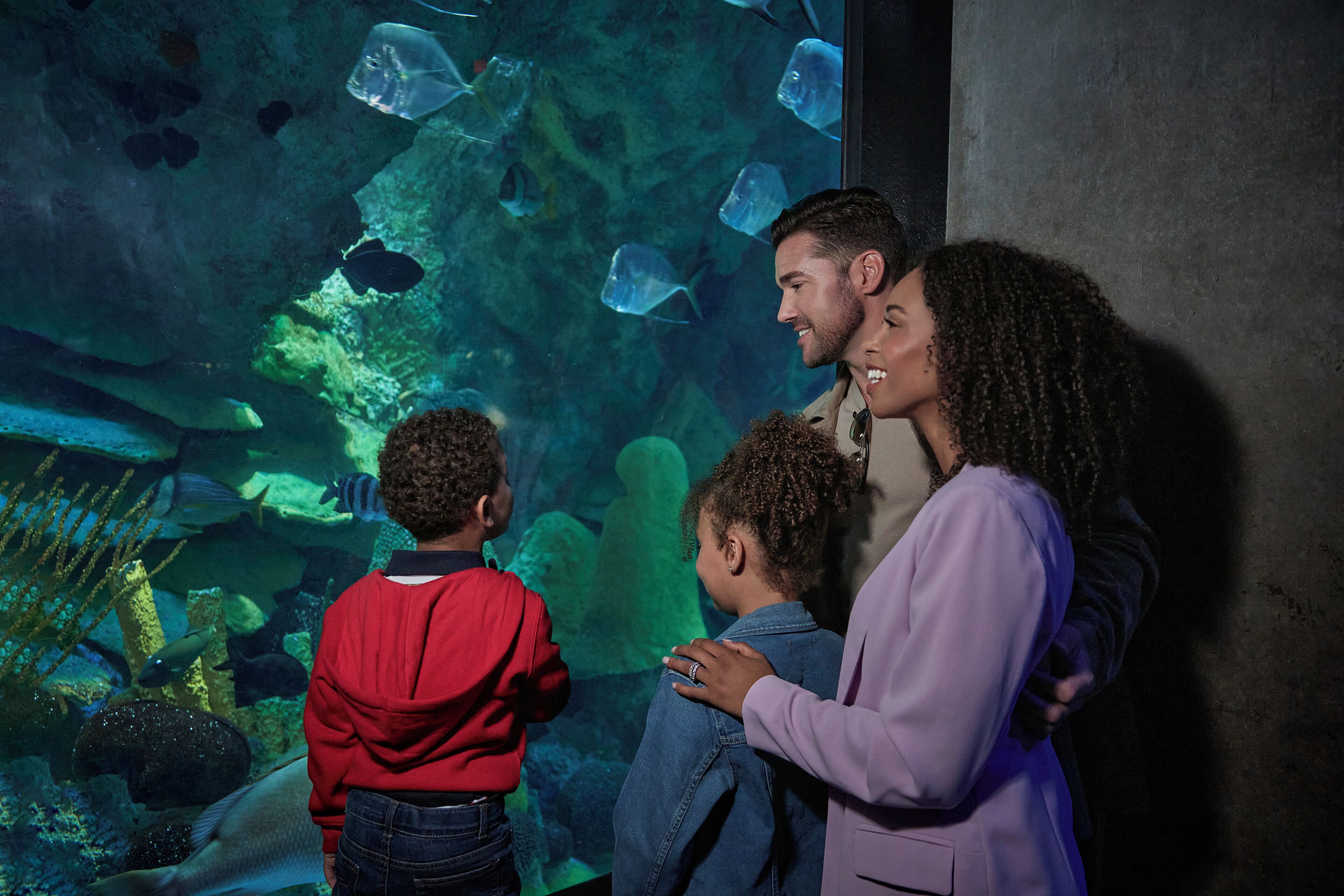 Una familia observando un acuario.