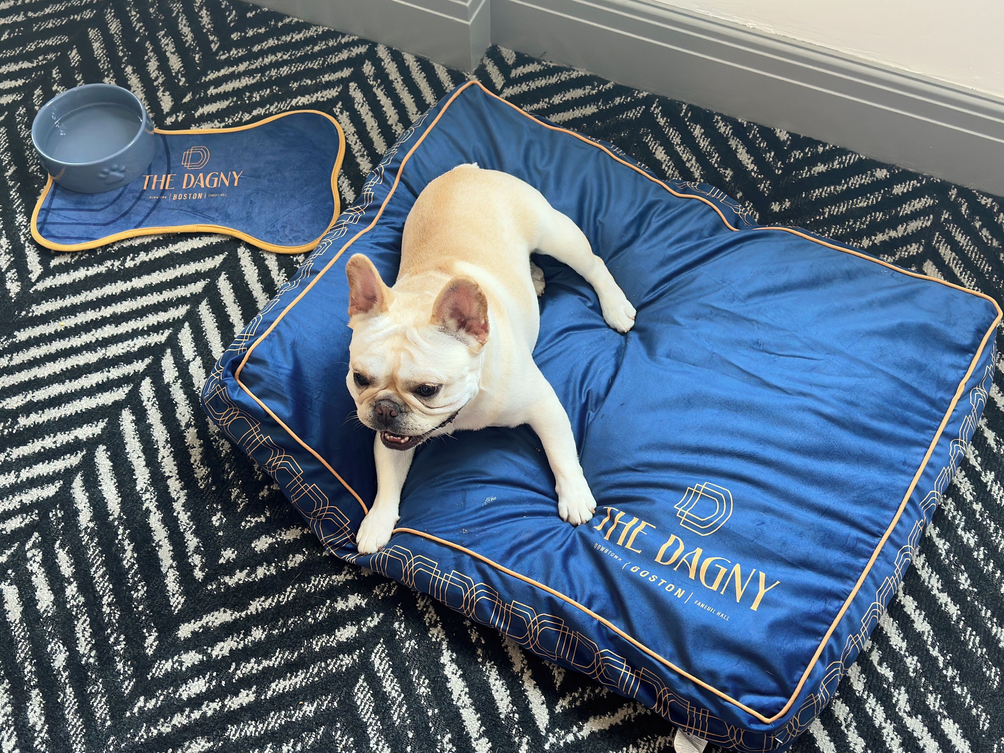 pet-friendly amenities