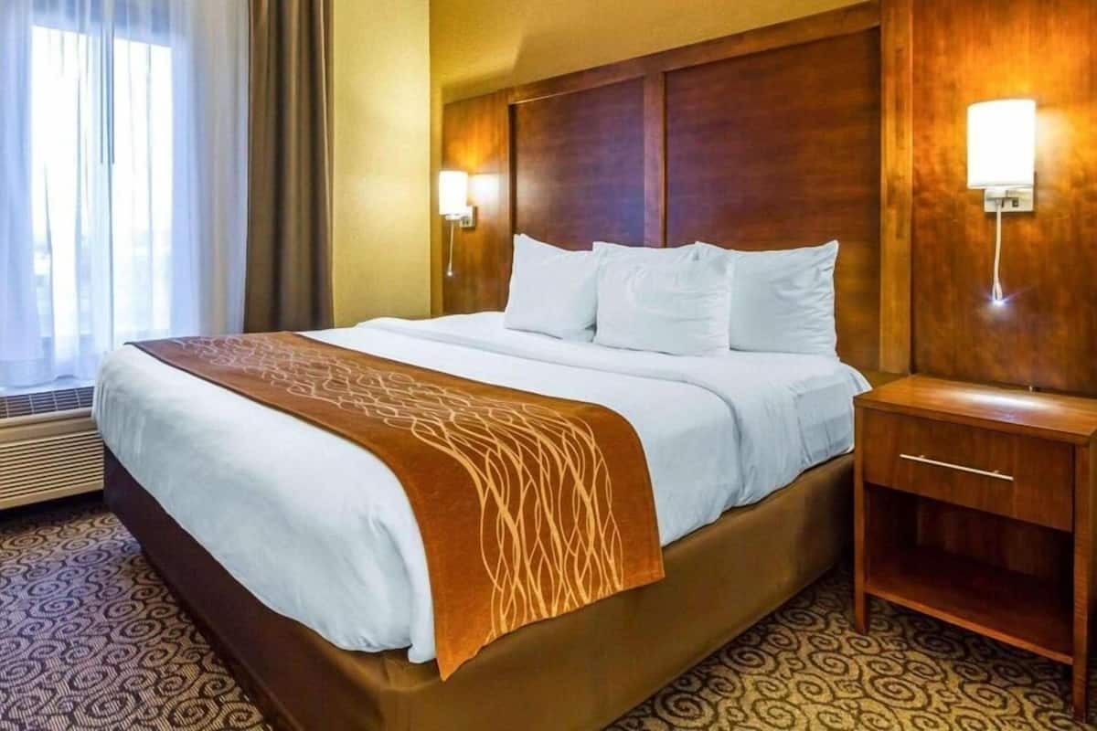 Iron/ironing board, free cots/infant beds, free rollaway beds, free WiFi