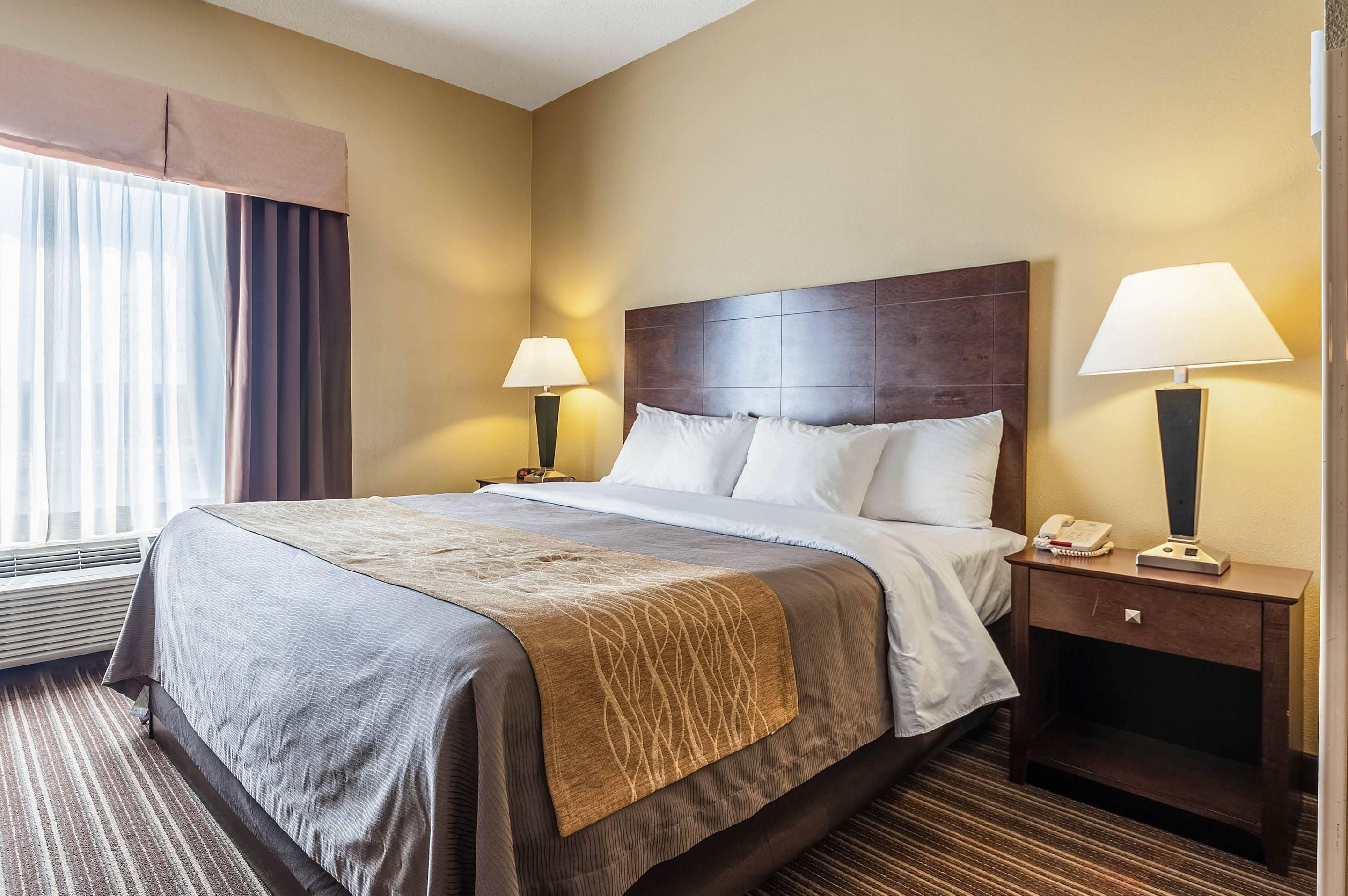 A hotel room with a bed, two bedside tables, a lamp on each table, a window with curtains, and a carpeted floor.