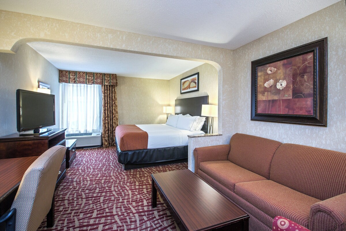 Une chambre d’hôtel avec un lit, une télévision, un bureau, un canapé et un tableau au mur.