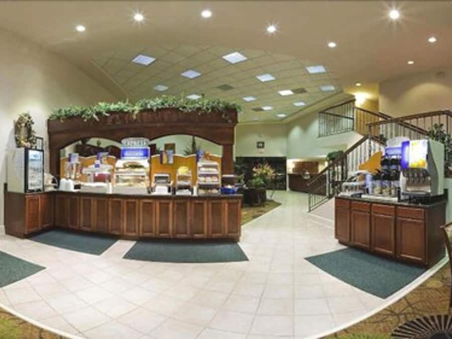 Buffet déjeuner gratuit