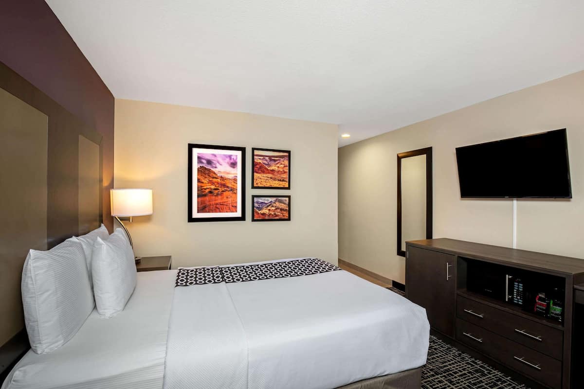 Room, 1 King Bed, Non Smoking