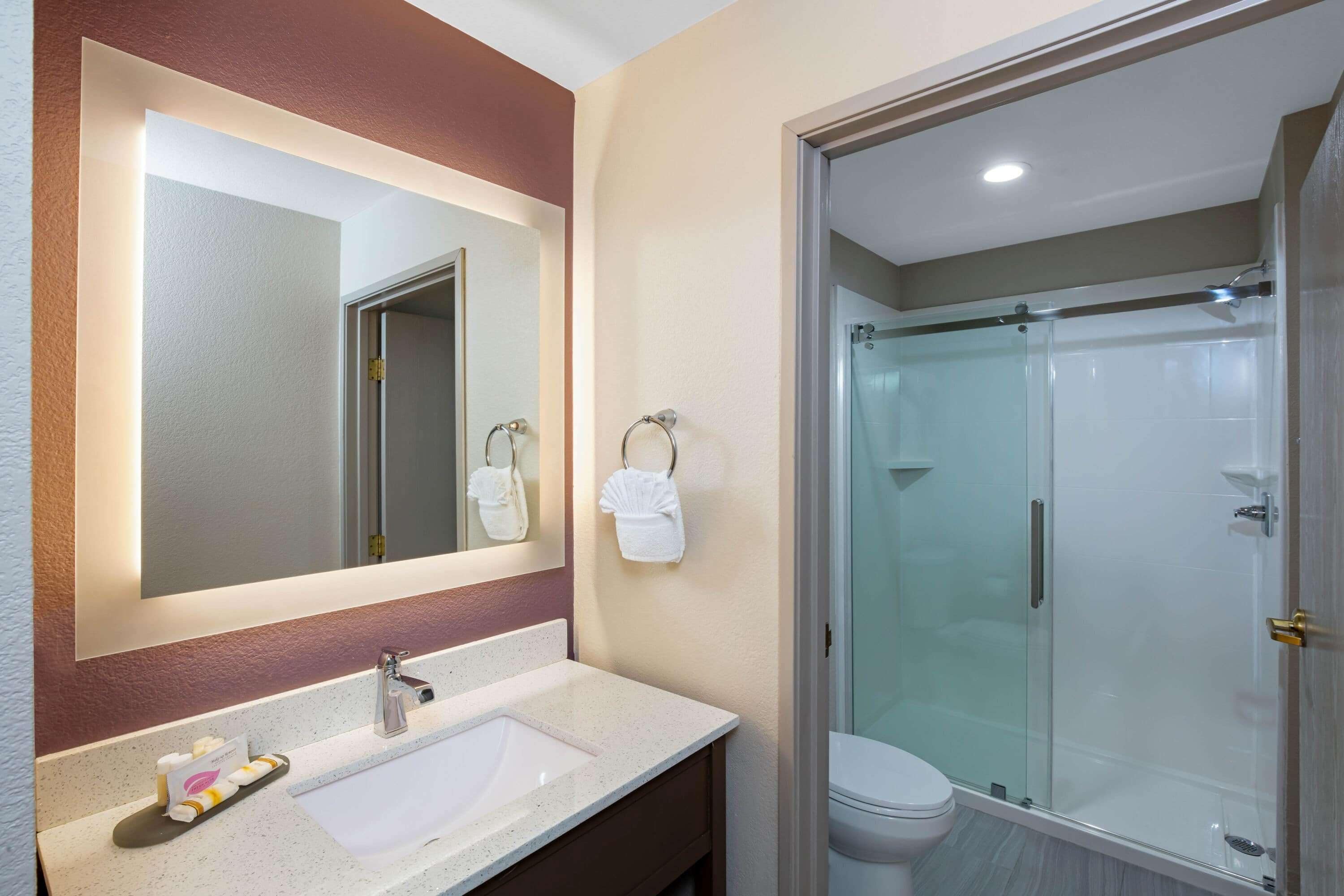 suite, 1 king bed, non smoking | bathroom | free toiletries, hair dryer, towels