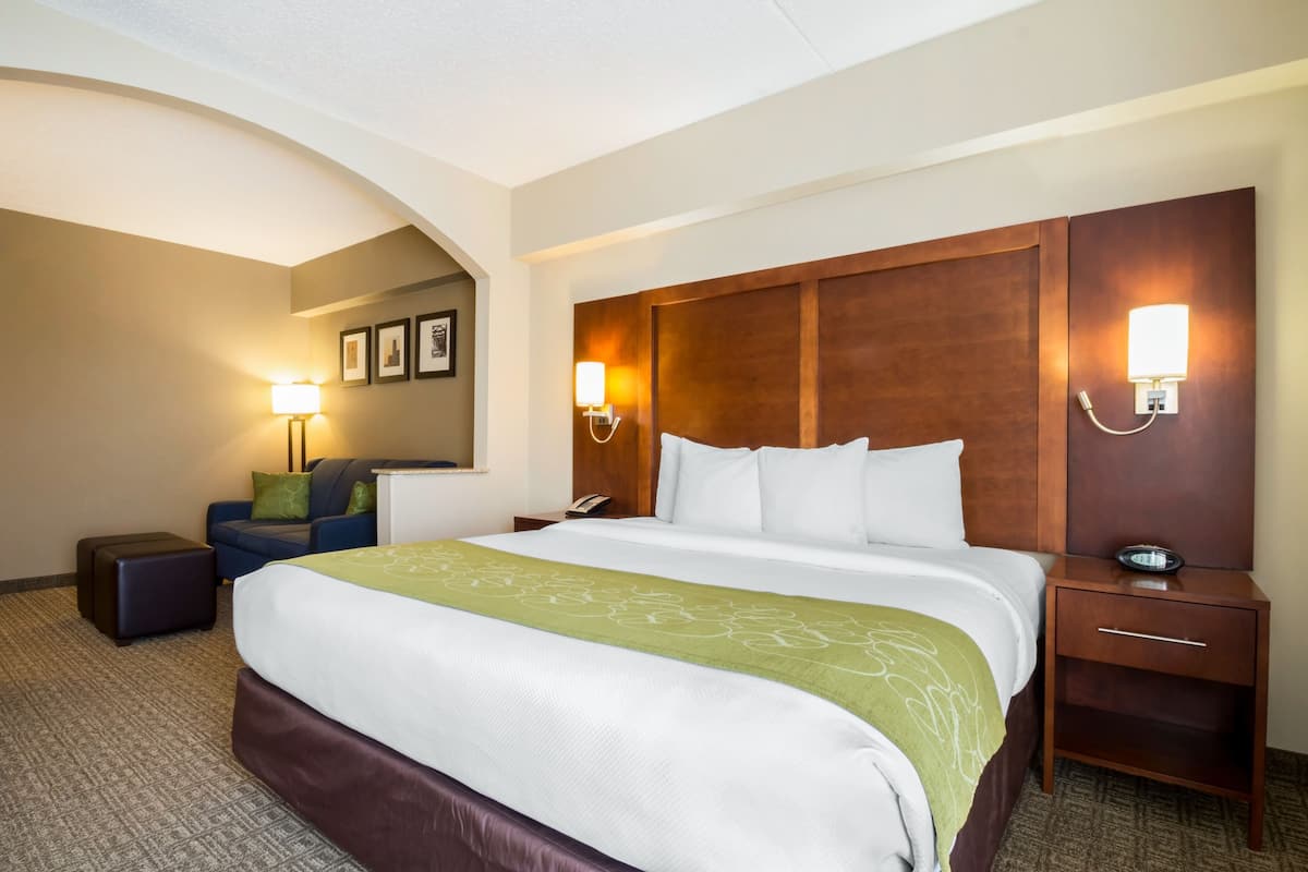 Suite, 1 King-Bett, Nichtraucher | Wohnbereich | Flachbildfernseher