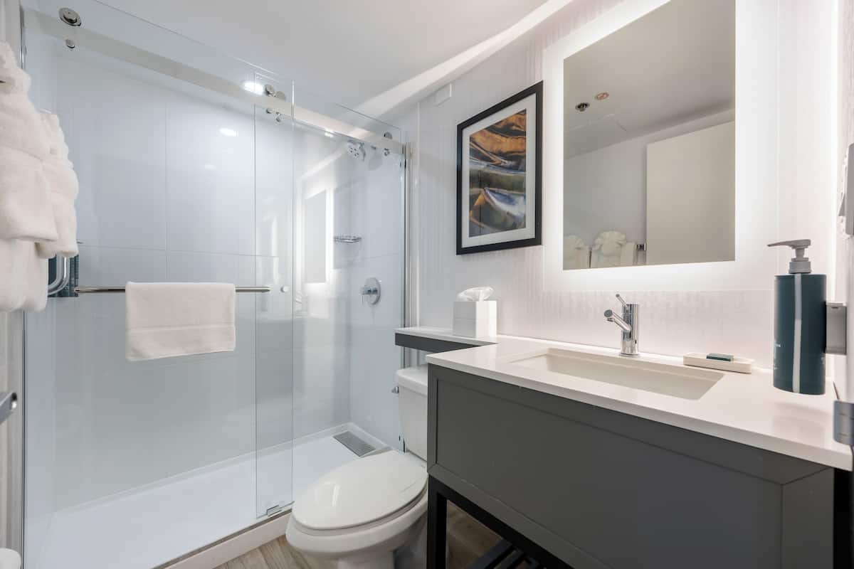 combined shower/bathtub, free toiletries, hair dryer, towels