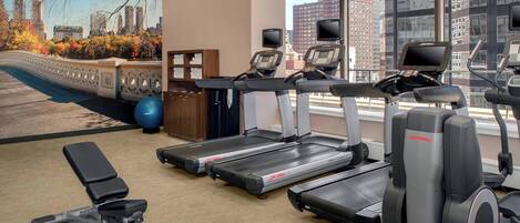 A gym with treadmills, a bench, and exercise balls.