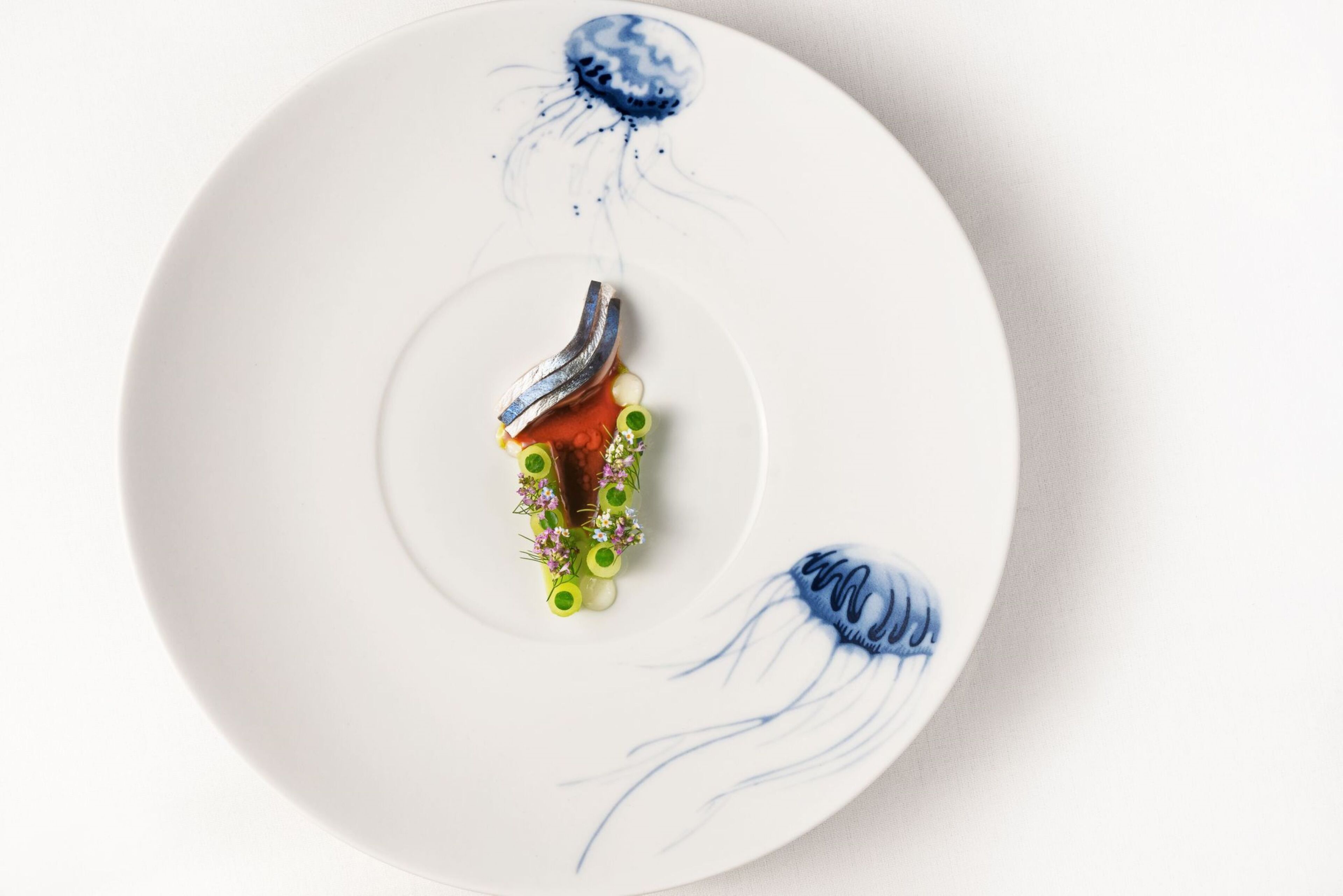 Un plato blanco con un plato de mariscos y dos ilustraciones de medusas.