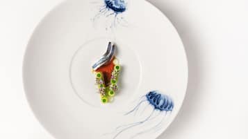 Un plato blanco con un plato de mariscos y dos ilustraciones de medusas.