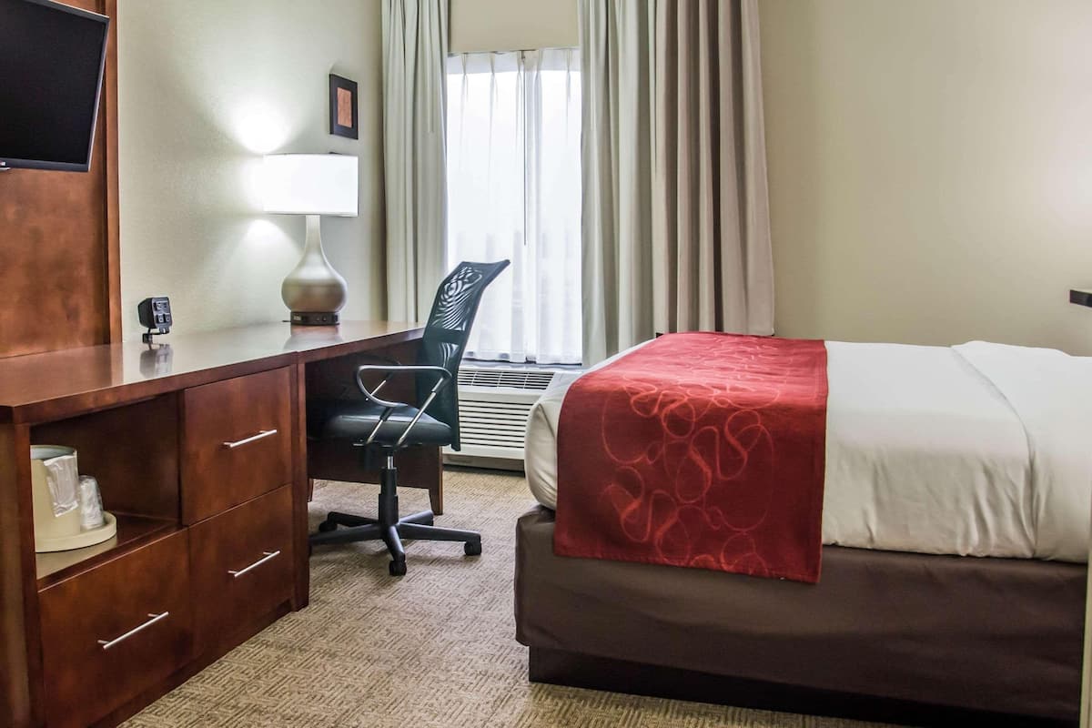 Ropa de cama de alta calidad, escritorio y cortinas blackout