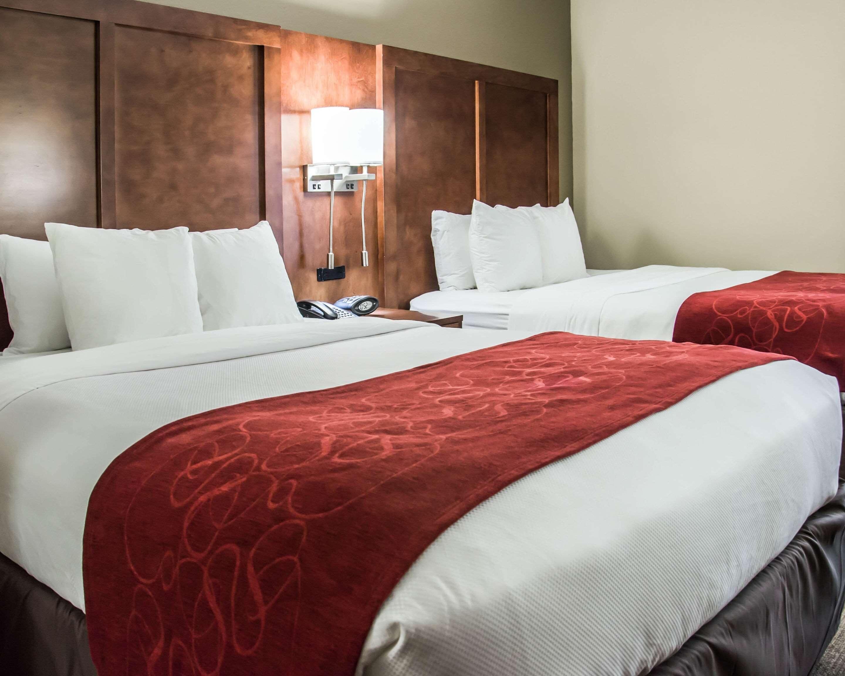 Ropa de cama de alta calidad, escritorio y cortinas blackout 