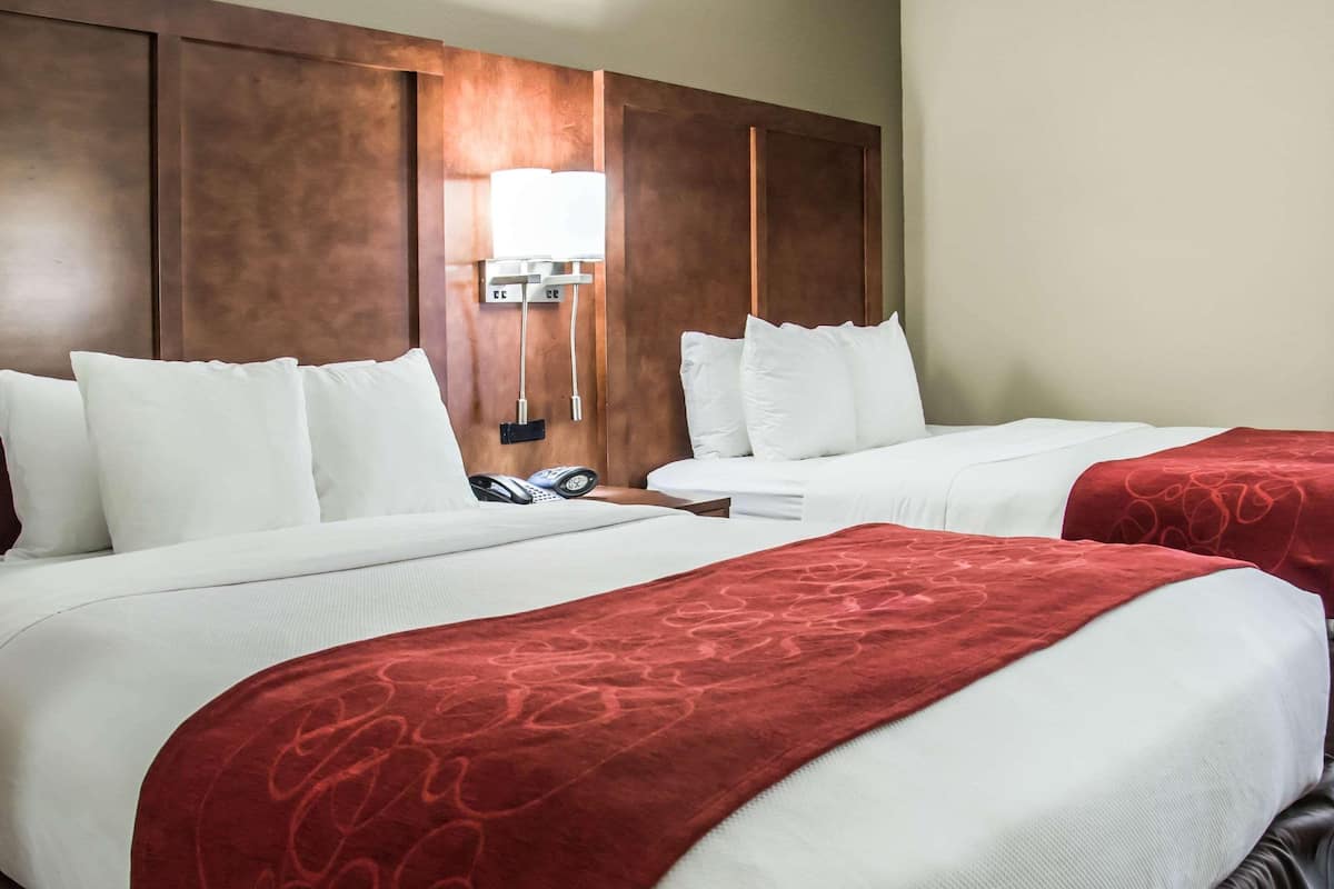 Ropa de cama de alta calidad, escritorio y cortinas blackout