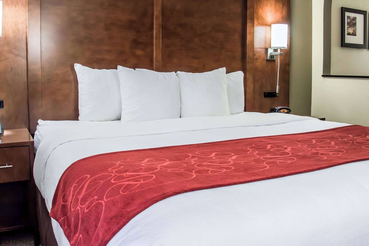 Une chambre d’hôtel avec un grand lit, une tête de lit en bois, une table de chevet, un plaid rouge et une lampe fixée au mur.