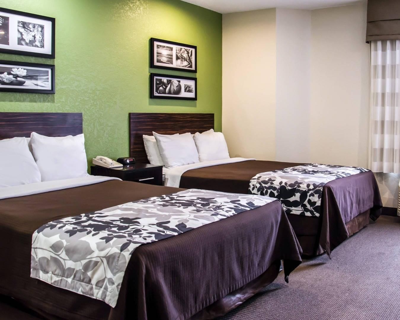 Ein Hotelzimmer mit zwei Betten, einer grünen Wand und gerahmten Bildern.