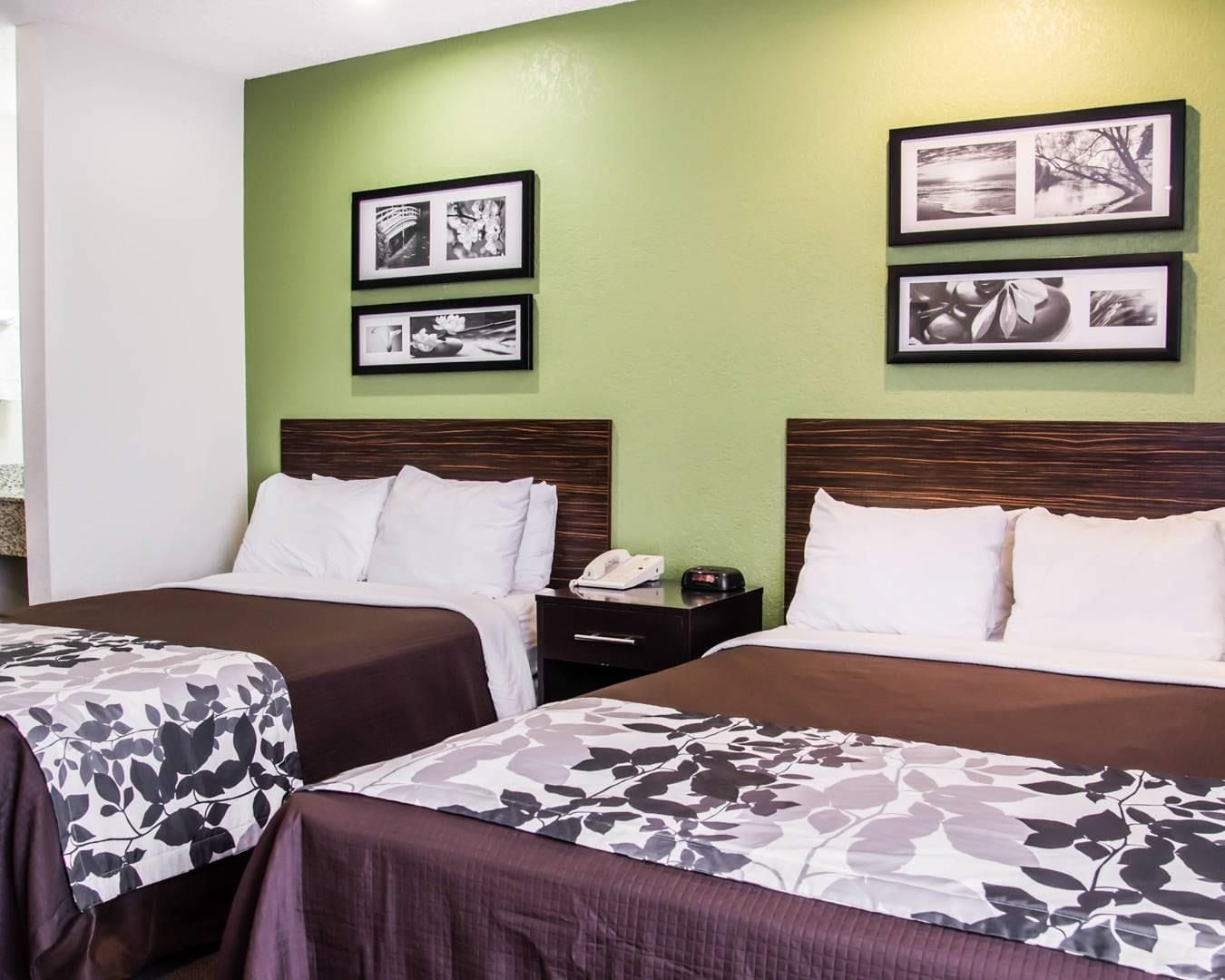 Ein Hotelzimmer mit zwei Betten, einer grünen Wand und gerahmten Bildern.